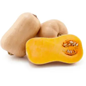 Pumpkin Butternut - Sunrise Fresh