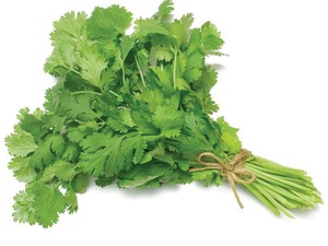 Products: Corriander (100g) - Sunrise Fresh