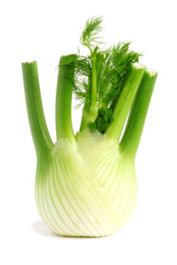 Products: Fennel (Each) - Sunrise Fresh