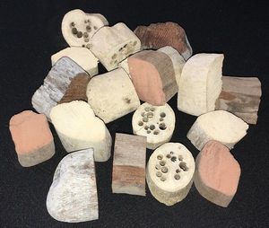 Driftwood Slices