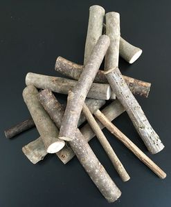 Tree Branches Medium