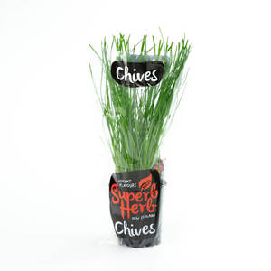 Products: Chives - Superb Herb