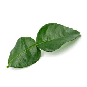 Makrut Lime Leaves - Superb Herb