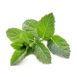 Mint - Superb Herb