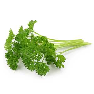Parsley - Superb Herb