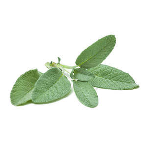 Products: Sage - Superb Herb