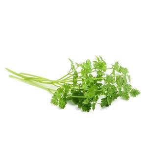 Products: Chervil - Superb Herb