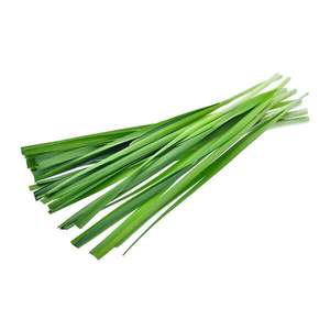 Garlic Chives - Superb Herb