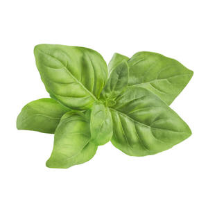 Products: Basil - Superb Herb