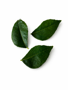 Products: Curry Leaves - Superb Herb