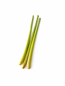 Lemongrass - Superb Herb