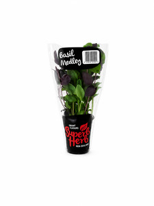 Products: Basil Medley - Superb Herb