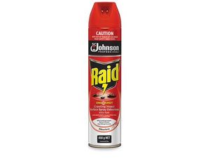 Raid Residual One Shot Fly Spray 450gm