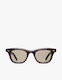 Ease Sunglasses - Tortoise