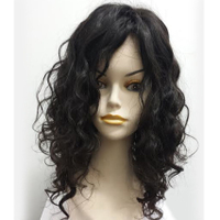 Products: Long Curly Human Hair Wig