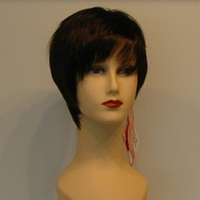 Products: Synthetic Wig S&F119