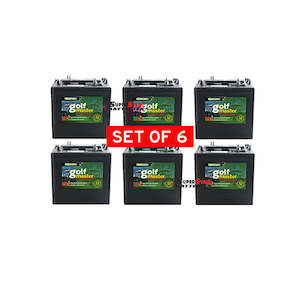 6x Golf Cart Battery 8 volts 165 AH R875 T875 T-875, GC2 -8V Deep cycle