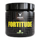 Inception Labs Fortitude - Batch Error