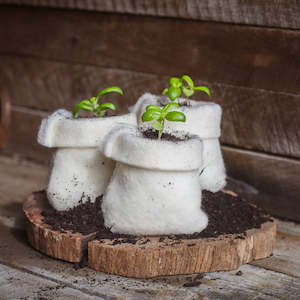 The Original Wool Grow Bag  - 3 Pack