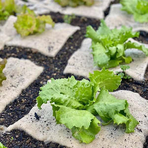 Wool Mulch Mat - Extra Large Bulk Pack