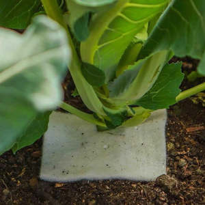 Products: Slug Deterrent - Vege Patch Wool Mulch Mat (10 Pack)