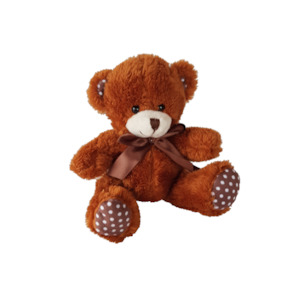 Kids Gifts: Little Ted Teddy Bear