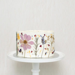 Mudcake Sample Box