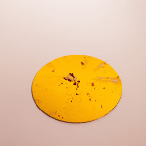 Classic Cakes Collection: Flavour Carousel Cake