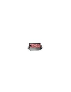 Automatic ECU Pink 200 to 2010