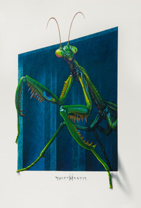 Unexpected Encounter' SwiftMantis