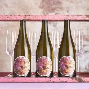2023 Marceline Sparkling Wine Swift Wines NZ