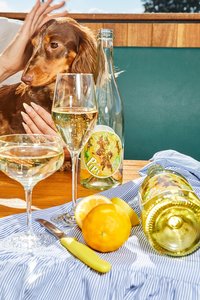 Products: 2025 Pipi Sparkling Albarino Wine Swift Wines NZ