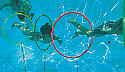 Products: Underwater Slalom - Swimjoy