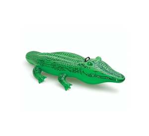 Intex Lil Gator