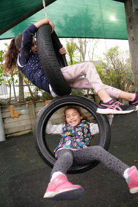Double Vertical Tyre Swing