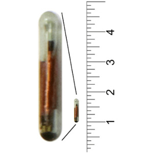Products: 8mm Bio Glass ISO FDX-B PIT tag - SwissPlus ID (New Zealand)