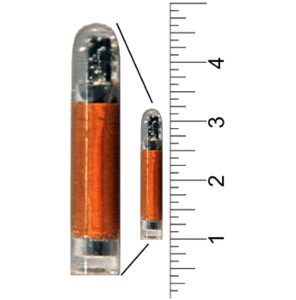 22mm Fusion Polymer ISO HDX PIT Tag - SwissPlus ID (New Zealand)
