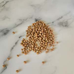 Refills: Soybeans non-GMO for Tempeh 1kg