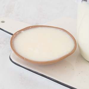 Products: Skyr Yogurt Starter Culture