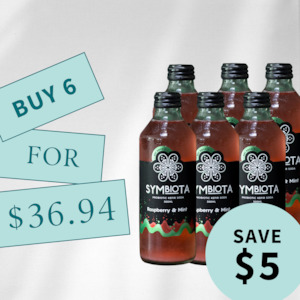 Fermented Foods & Drinks: Raspberry & Mint Water Kefir Buy 6