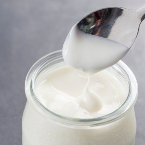 Fermentation Cultures: Viili yogurt Heirloom mesophilic culture