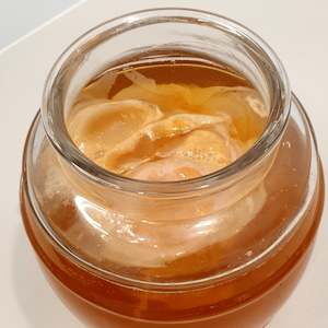 Fermentation Cultures: Large Jun Kombucha SCOBY