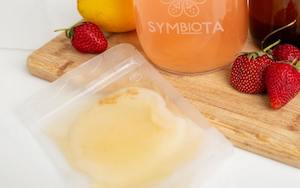 Fermentation Cultures: JUN kombucha SCOBY (Organic)