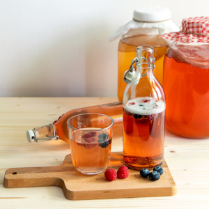 Courses: The Kombucha Course