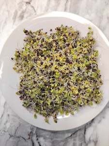 Sprouts: Sprouting Seeds- Organic Broccoli- 100g