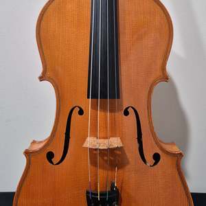 Malcolm Collins Viola 16 Inch
