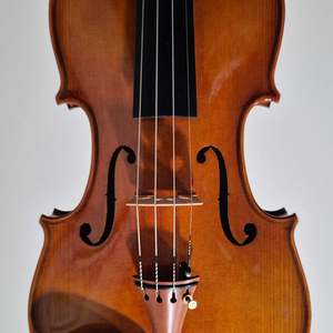 Violins: SS02 4/4 Violin