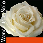 Pirastro Wondertone Solo Violin Strings