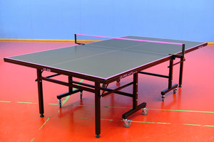 Double Fish Table Custom Made 18mm top table - Table Tennis Gear