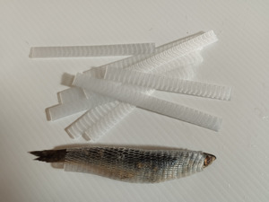 Hot Shotz Anchovy Tubes x 20pc